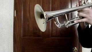 Video thumbnail of "las mañanitas (trompeta)"