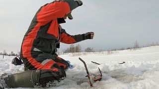 ЛОВЛЯ рыбы с современными ГАДЖЕТАМИ. Подводная съемка. Ловля плотвы. Последний лед