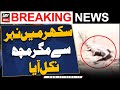 Crocodile comes out of Canal in Sukkur - ARY Breaking News