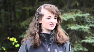 Experiential Learning in Denali