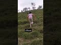 peace in hills