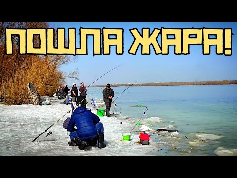 Видео: ЛЬДИНА ЗАБИТА РЫБАКАМИ! Они ловят КРУПНЯК?! Открыли сезон 2024 в АПРЕЛЕ!