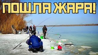 ЛЬДИНА ЗАБИТА РЫБАКАМИ! Они ловят КРУПНЯК?! Открыли сезон 2024 в АПРЕЛЕ!