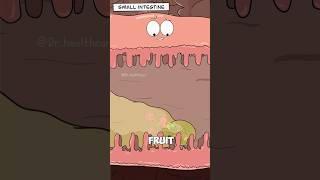 Why Your Poop Comes Out in Different Colors?  #shorts