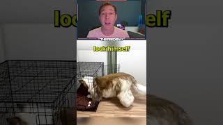 The Human Dog