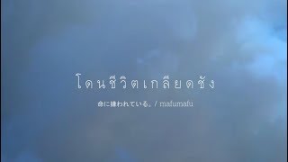 Hated by life itself. / Mafumafu【TH Lyrics Video】