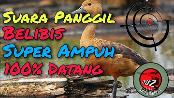 Suara Panggil/Pikat Belibis Super