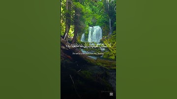 إِنَّ رَبَّكَ هُوَ الْخَلاَّقُ الْعَلِيمُ | القارئ اسلام صبحي حالات واتس اب🤍🥺🫀
