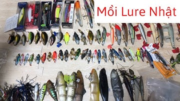 Mồi Câu Nhật: Mồi Lure Mềm, Nhái Hơi, Cá Minow, Pop, Cá Sắt, Lure Ghềnh, Lóc Chẽm - video 196