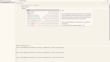 PyTorch Fundamentals - Squeeze, Unsqueeze And Permuting Tensors.