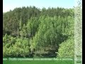 Урочище «Горналь» в Курской области признано памятником природы
