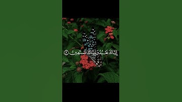 سورة الفاتحة بصوت القارئ حمزة معاذ تلاوة مؤثرة تريح البال و القلب