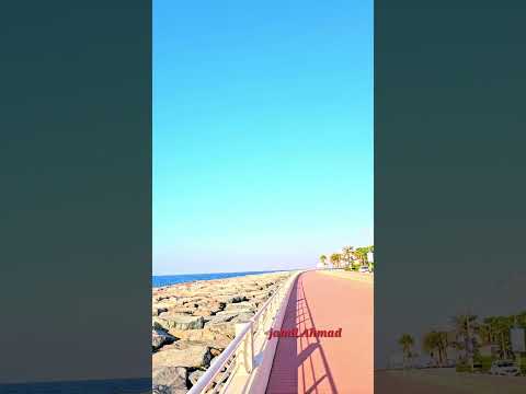 Atlantis palm jumeirah  United Arab Emirates  #subscribe #atlantis #dubai #viralvideo #1million….