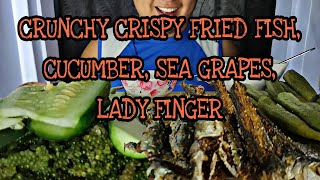 ASMR SUPER CRUNCHY FRIED FISH, CUCUMBER, SEA GRAPES AND LADY FINGER