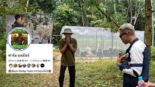 #แนะนำGrower ฟาร์มลุงเบียร์ Black Sheep Team