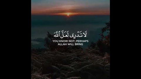 سورة#الطلاق القارئ رعد الكردي