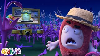 The Corn-Spiracy Theory! | Oddbods Tv Full Episodes | Funny Cartoons For Kids