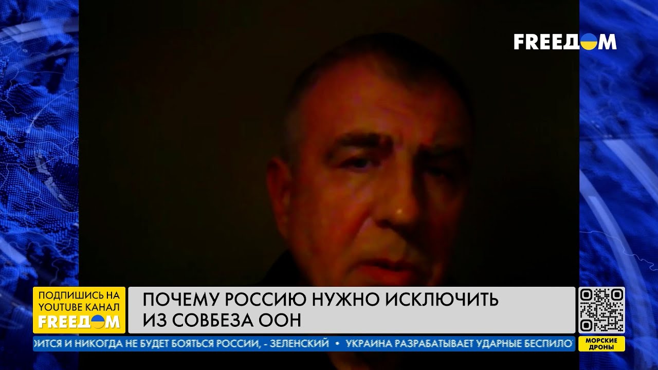 ЛЕВЧЕНКО: Процесс исключения РФ из ООН нужно проводить в правовом поле ...