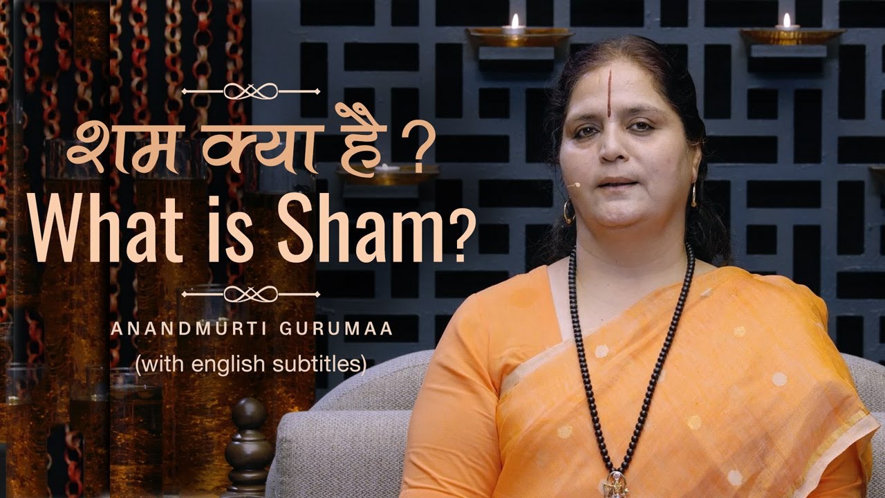 What Is Sham Anandmurti Gurumaa YouTube nuclear-power-plants-15-feb-2023