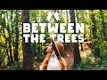 🌳 Between The Trees 2026 🌳 &bull; An Indie/Folk/Acoustic Playlist