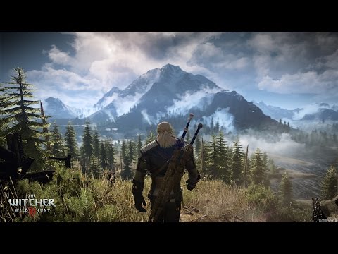 The Witcher 3: Wild Hunt Тайная комната в королевском замке в Вызиме