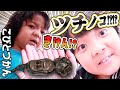 【こびとづかん】きけん?? ツチノコ!? てのひらに、のせてみよう!!!