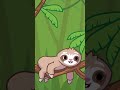 El perezoso más lento del mundo 🦥😂 #shorts