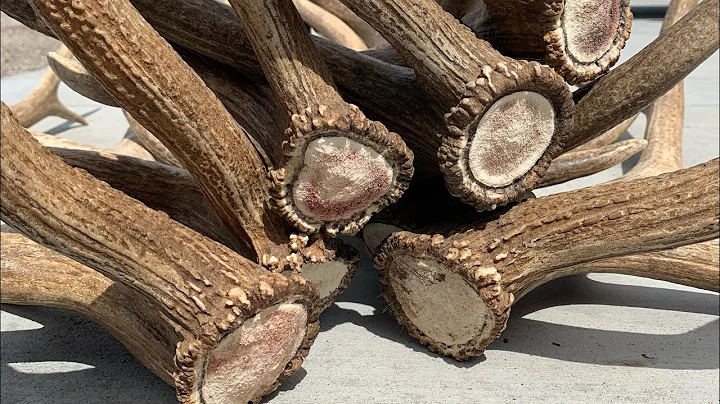 2022 Elk Browns Brandon Pitcher Part 5 ( Utah Sheds )