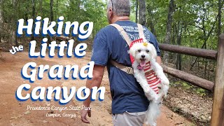 Hiking Providence Canyon State Park aka Georgia's Little #GrandCanyon
