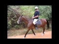 Ref:dp3-ROjko2E Henriot family