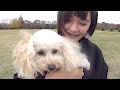 かわいすぎる警察犬アンズに会いに行きました！後編
