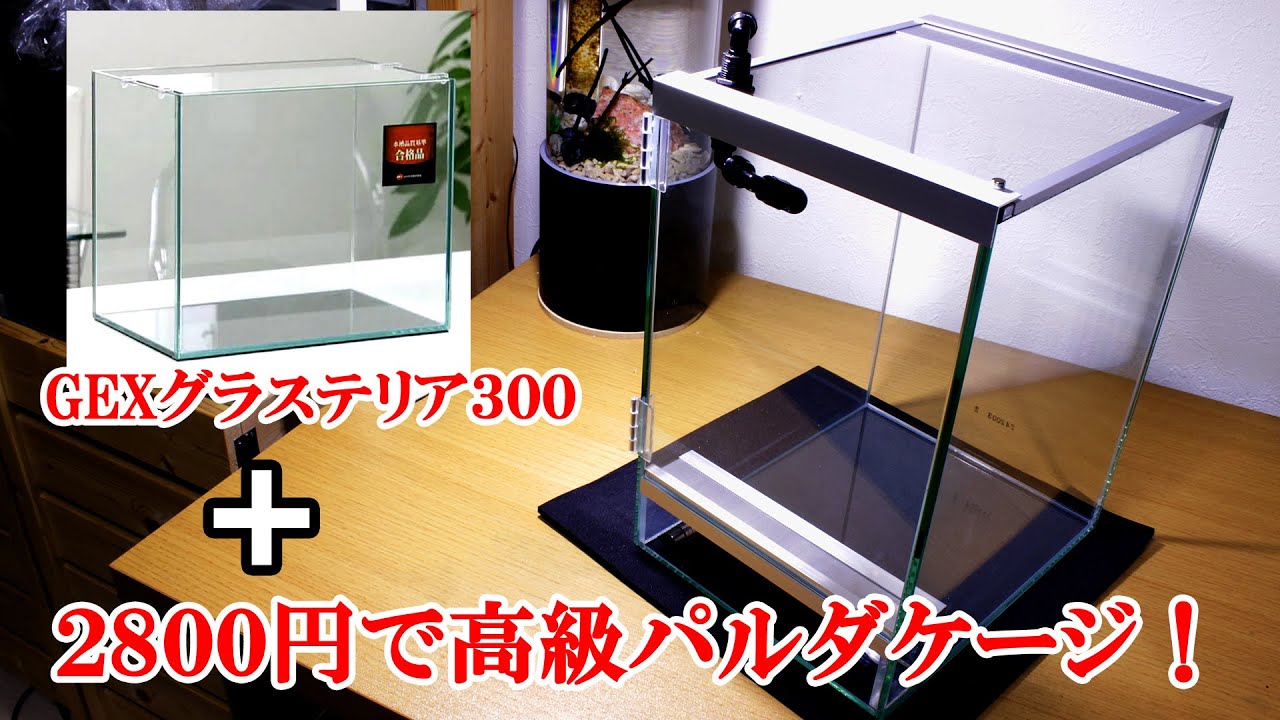 アクアリウム水槽 2800円で高級パルダリウムケージを作ってみた Youtube