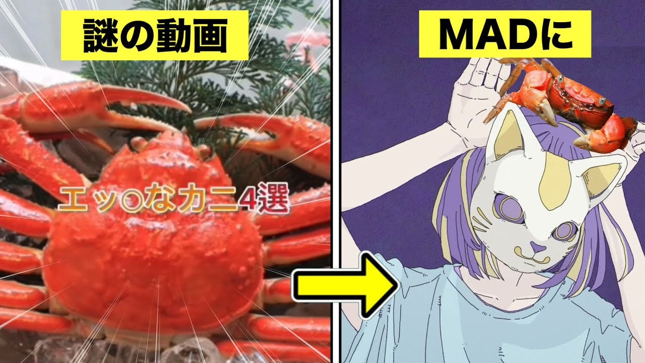 Explanation of 4 naughty crabs - YouTube