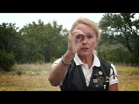 Tips & Tactics | S4 E7: "Jane Brown Keller: Eye Dominance"