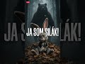 Ja som silák!