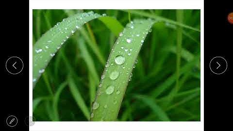 Class 4(Science)- Lesson 1(Evaporation and Condensation) of block 16(Evaporation and Condensation).