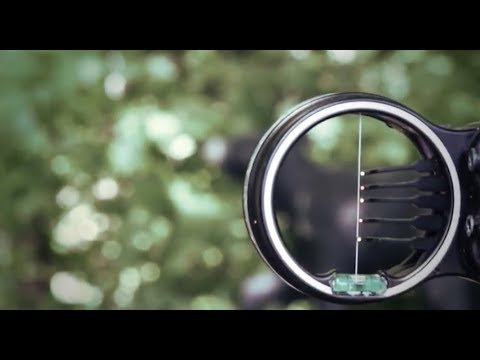 Dead On: How to Aim Your Bow Properly
