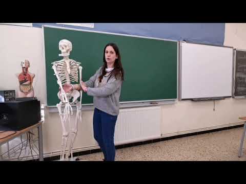 Vídeo: Inspirat Per Pushkin: El Fabricant De Joies Explica L'esquelet I L'aparença Uniforme A La Publicitat