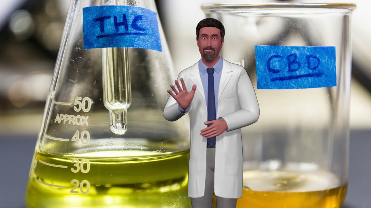 Cannabis Cures Auction