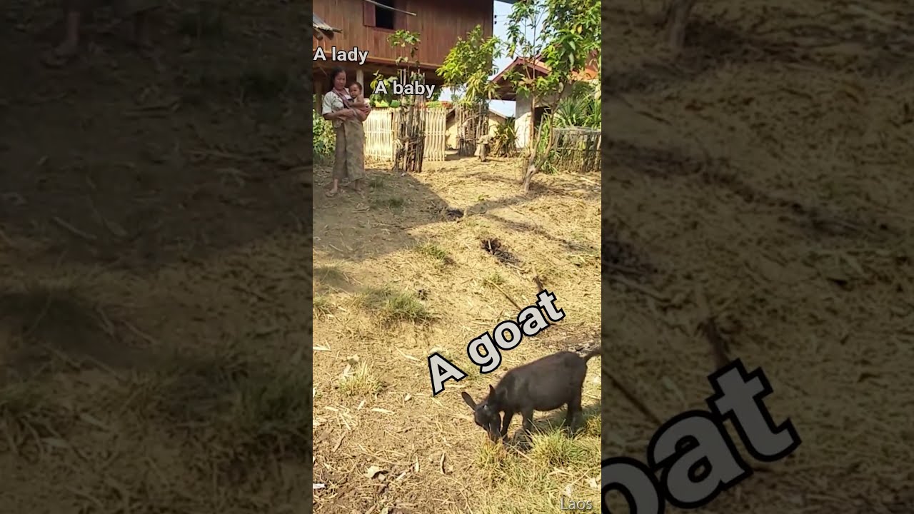 Life In the countryside, Laos 🇱🇦