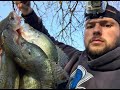 Crappie are in the creeks!! Go get them!! (Limit caught from the bank) OCT 2020