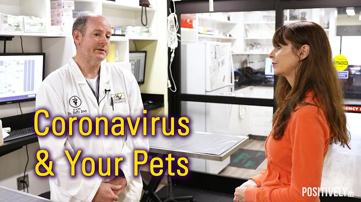 Victoria Discusses Coronavirus & Pets With Her Vet