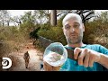 ¿Cómo sobrevivir ante climas hostiles? | Ed Stafford al Extremo | Discovery Latinoamérica