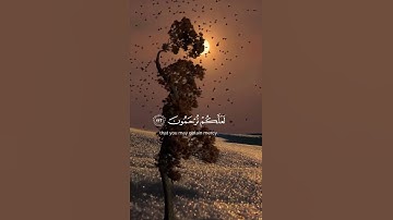 قران كريم بصوت جميل #قران_كريم #راحة_نفسية #اكسبلور #quran #لايك