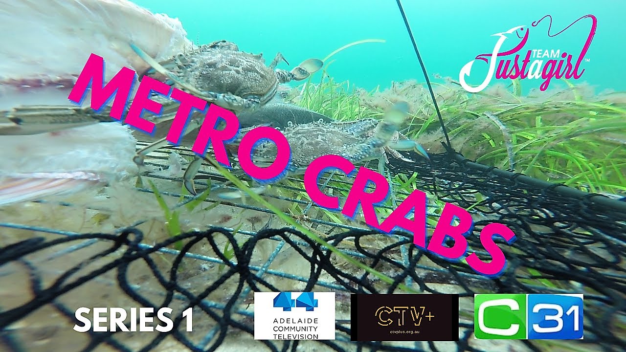 Series1Adelaide metro Blue Swimmer Crabs how to catch and cook fishing Australia with Team Justagirl