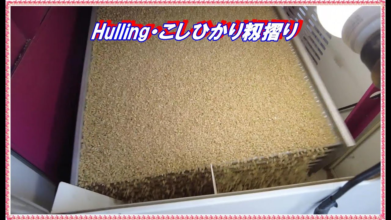 Hulling・農家籾摺りの流れ