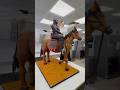 Giant Horse Cake يوم التاسيس Horse