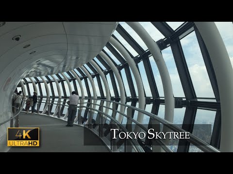 Video: Skytree (Tokijas): aukščiausias televizijos bokštas pasaulyje