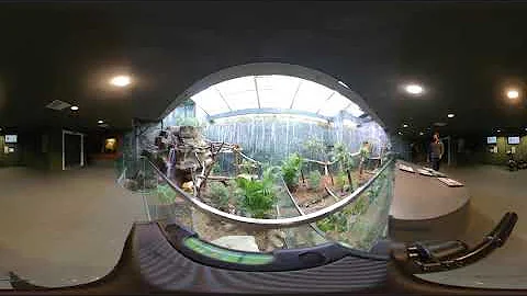 Indoor Australia exhibit at Cleveland Zoo (360°)