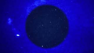 Rush ~{4K Ultra HD}  2112  Overture The Temples Of Syrinx Discovery Presentation Oracle The Dream